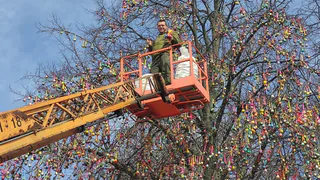 Во Владимире в седьмой раз пройдет акция «Пасхальное дерево»