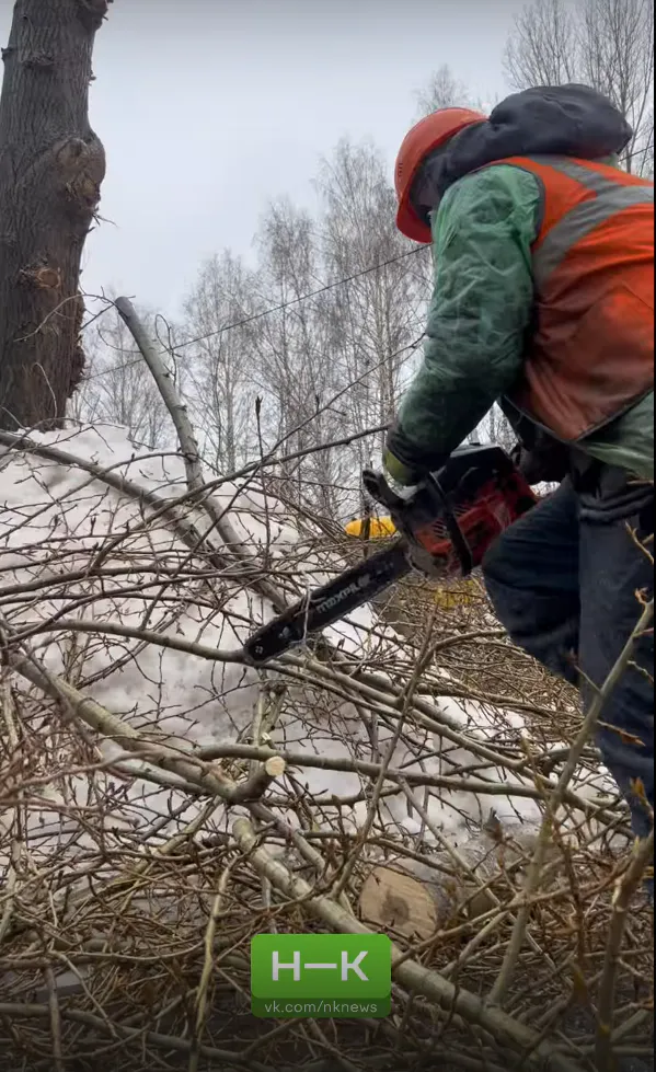 В Нижнекамске продолжаются работы по обрезке деревьев