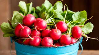 1 ложка в воду — и редис попрет как на дрожжах: вырастет сладким, сочным и размером с кулак — мощная подкормка