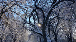 1 февраля в Рязанской области ожидается дождь и до +2