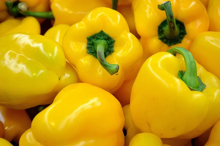 Подкормка, от которой перцы растут как на дрожжах: вкус будет ярче