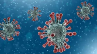 В Брянской области за сутки было подтверждено 86 случаев Covid-19