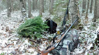 Главу села в Коми оштрафовали за незаконную охоту
