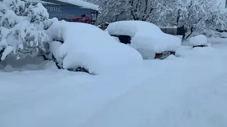 «Дети летят под колёса»: рязанка пожаловалась на опасный путь к школе №56