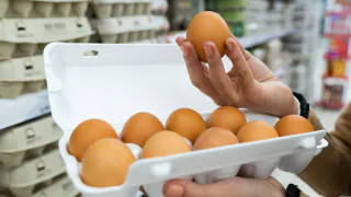 Всю жизнь брала коричневые яйца, пока не узнала правду: какой цвет лучше