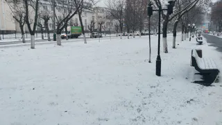 «Это 100%»: синоптик рассказал, какая погода ждет россиян на Новый год