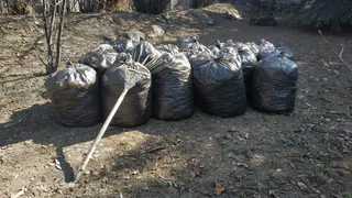 Осенние субботники в Нижнекамске: свыше 6,5 тысяч горожан навели порядок в родном городе