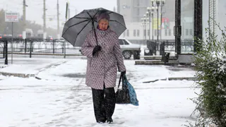 4 марта в Рязанской области ожидается дождь и до +2 градусов