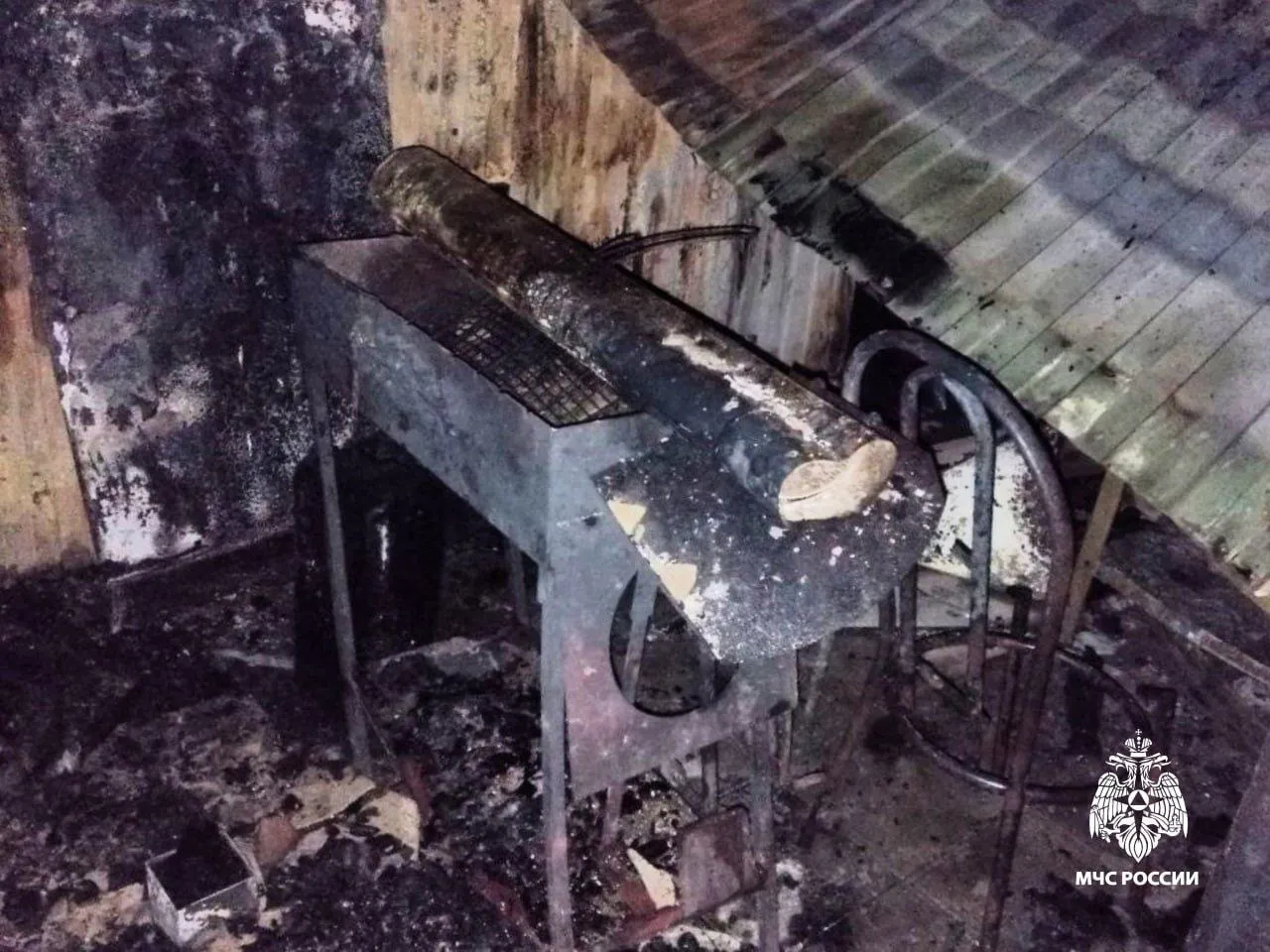 В Чебоксарах отдых с шашлыками обернулся страшным пожаром