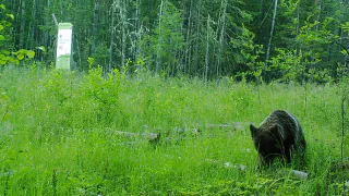 Нацпарк Койгородский в 2024 году посетили 300 туристов