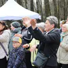 В рязанском ЦПКиО появятся новые туалеты и собачья площадка
