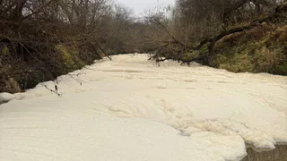 В Петушинском районе проводят инспекции в связи с загрязнением реки Пекша