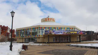 Доставили в больницу: в Рязанском цирке воздушная гимнастка упала с высоты четырех метра