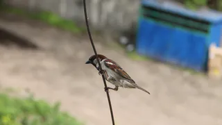 Прогноз синоптиков - последний день апреля в Рязани будет жарким