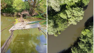 Волонтеры отыскали тело Никитина в Старожилове 