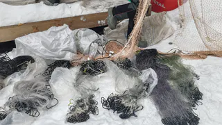 В заказнике в Коми выявлены нарушения природоохранного законодательства