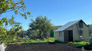 В Европе уже давно отказались, а россияне все еще едят: этот вкусный овощ убивает ваши почки