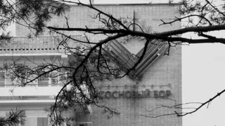 "Сосновый бор" закрыли за долги - что дальше?