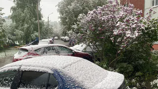 Народные приметы-2025: какой будет зима и когда придут первые морозы — определить можно по этим 4 знакам