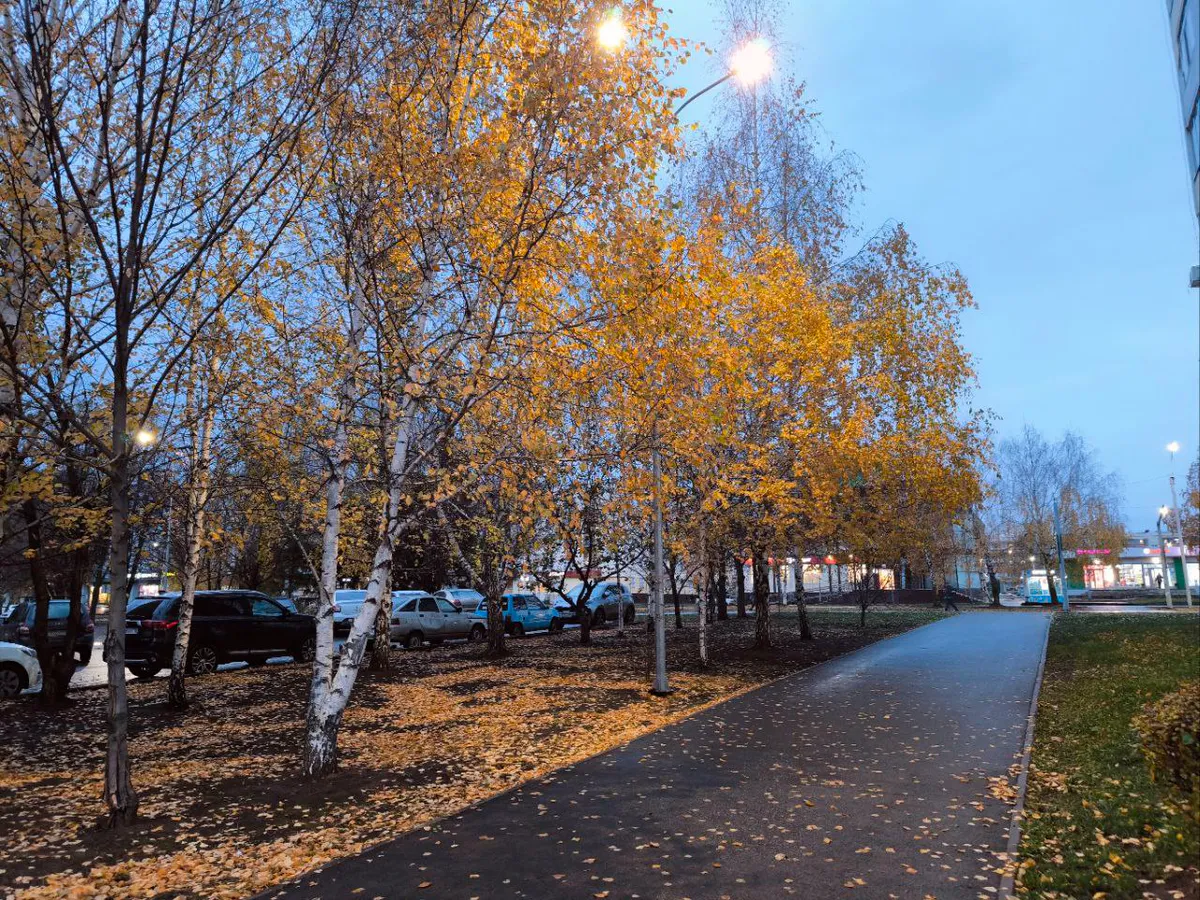 Прогноз погоды в Нижнекамске на пятницу, 24 октября