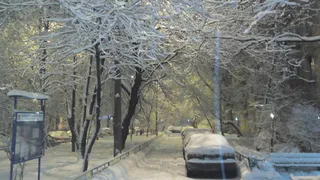 Прогноз синоптиков: ждать ли повторения Московского коллапса в Рязани?