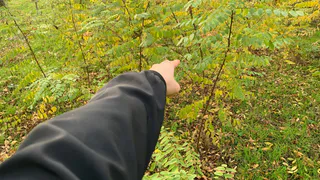 В рязанском Кадоме нашли следы медведя