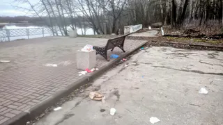 Пристань рязанского Лесопарка «заросла» мусором