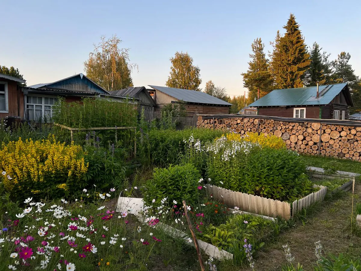 Новые штрафы для садоводов и дачников в 50 000 рублей ощутимо ударят по бюджетам россиян