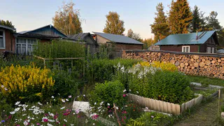 Не консервация, а инвестиция: как подготовка дачи к зиме спасет ваш бюджет от миллионных трат