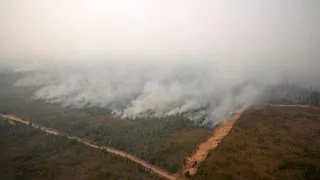 По факту лесных пожаров в Рязанской области возбудили дело о халатности