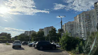 Придется менять даже действующие права: водителей ждет новый сюрприз с 3 июля