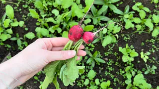 Усинск встречает вторник лучами солнца, но с ледяным дыханием