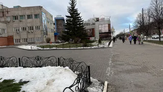 Нас ждет полная отмена зимы: Вильфанд рассказал, что будет со снегом на Новый год