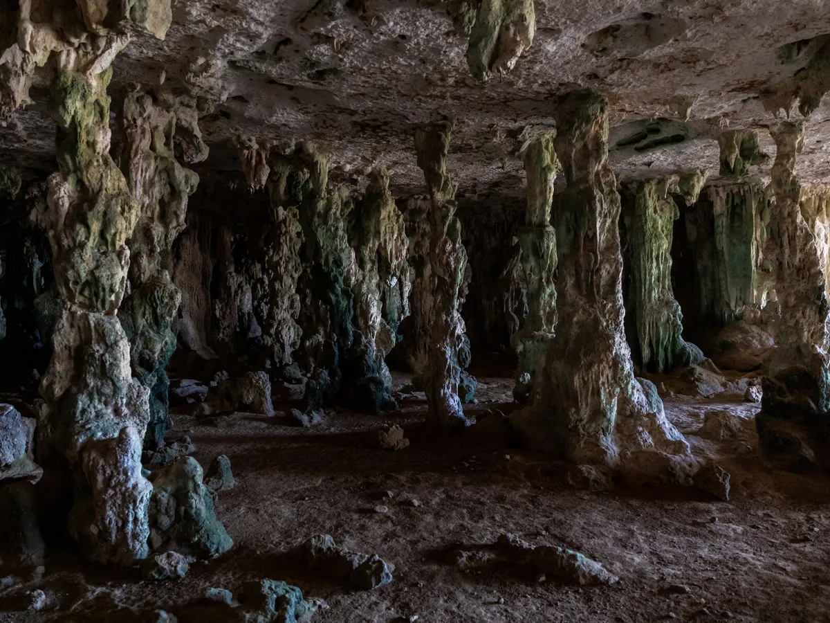 В Челябинской области раскрыли тайны древних татуировок