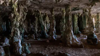 В Челябинской области раскрыли тайны древних татуировок