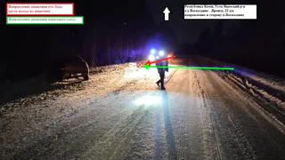 В Коми произошло столкновение водителя Lada Granta и лося