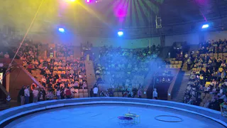 Цирк Казани бьет тревогу: мошенники продают билеты по завышенной стоимости