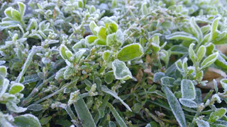 До 2 мая ждите аномальные заморозки до -5: Роман Вильфанд ошарашил россиян прогнозом на выходные 