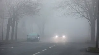 22 октября рязанцев ждут небольшие осадки, туман и до +9 градусов