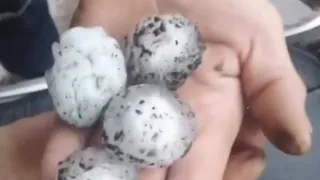 С перепелиное яйцо: в Чучкове выпал крупный град