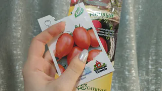  Прорастают все до единого семечка: узнал про копеечный раствор, который мгновенно запускает жизнь в семенах