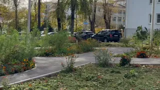 Во Владимире готовят 36 проектов озеленения на будущий год