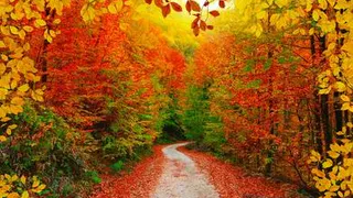 Бабье лето набирает силу в России