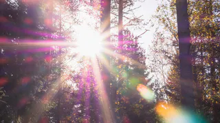 В Рязани установилась рекордно тёплая погода октября