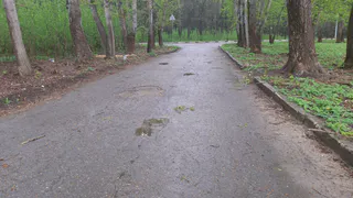 23 апреля в Рязанской области ожидается до +17