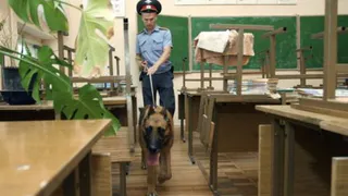 Полицейские задержали хулигана, который сообщил о бомбе в школе