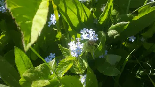 Солнце и +23: прогноз погоды на понедельник