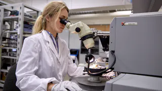 Российские ученые начали разработку вакцины от тропической лихорадки