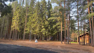 Объем экспорта древесины из Коми достиг 1,45 миллиона кубометров за 11 месяцев