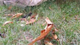 Доставайте теплые вещи: Рязань ждет резкое похолодание